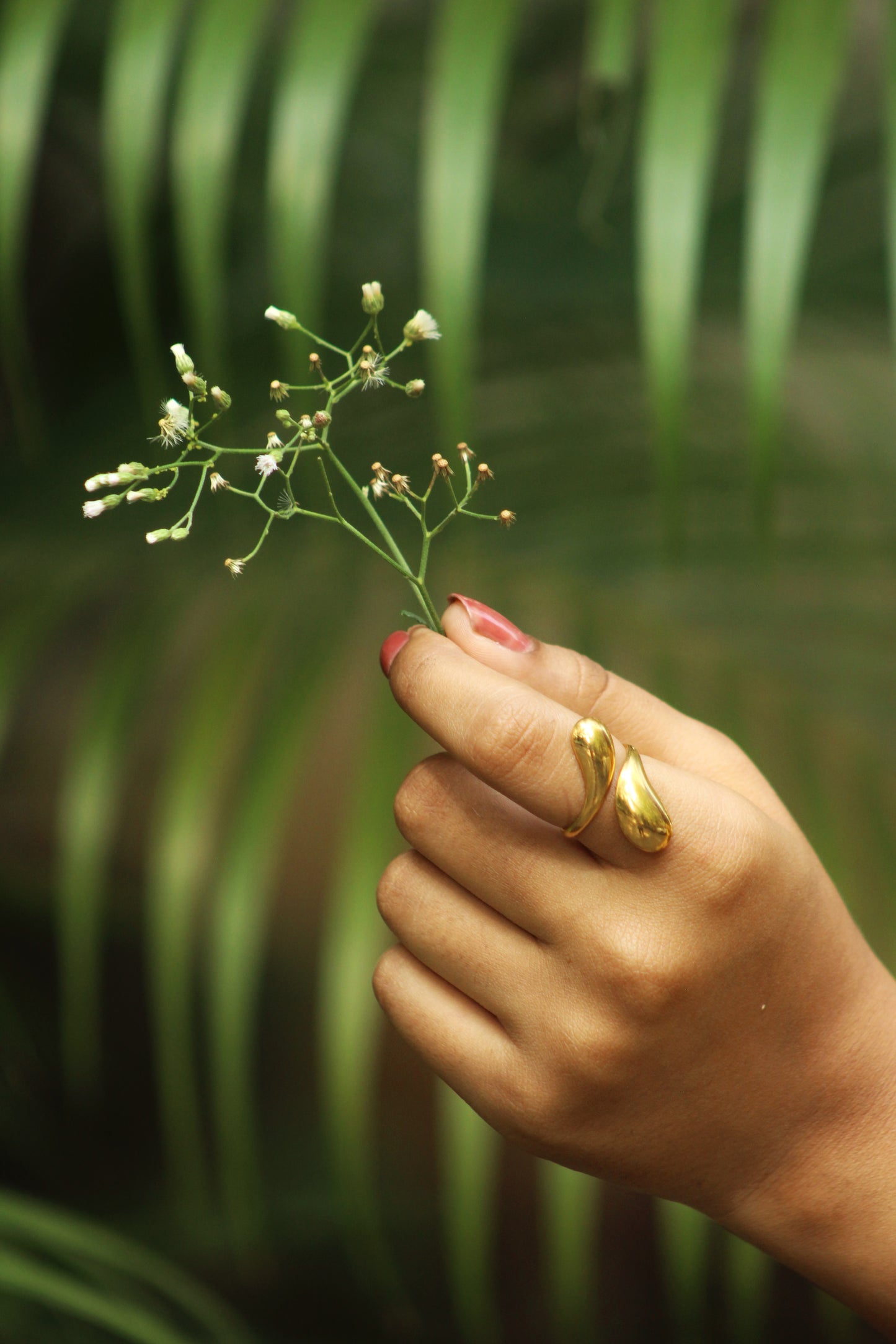 💫 Aurora Band Ring ✨